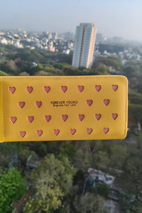 Stylish Leather Wallet